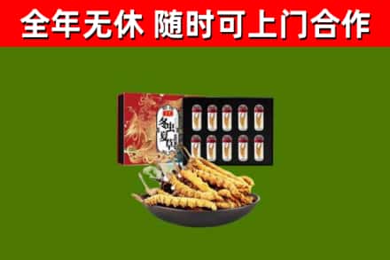 四平回收冬虫夏草价格